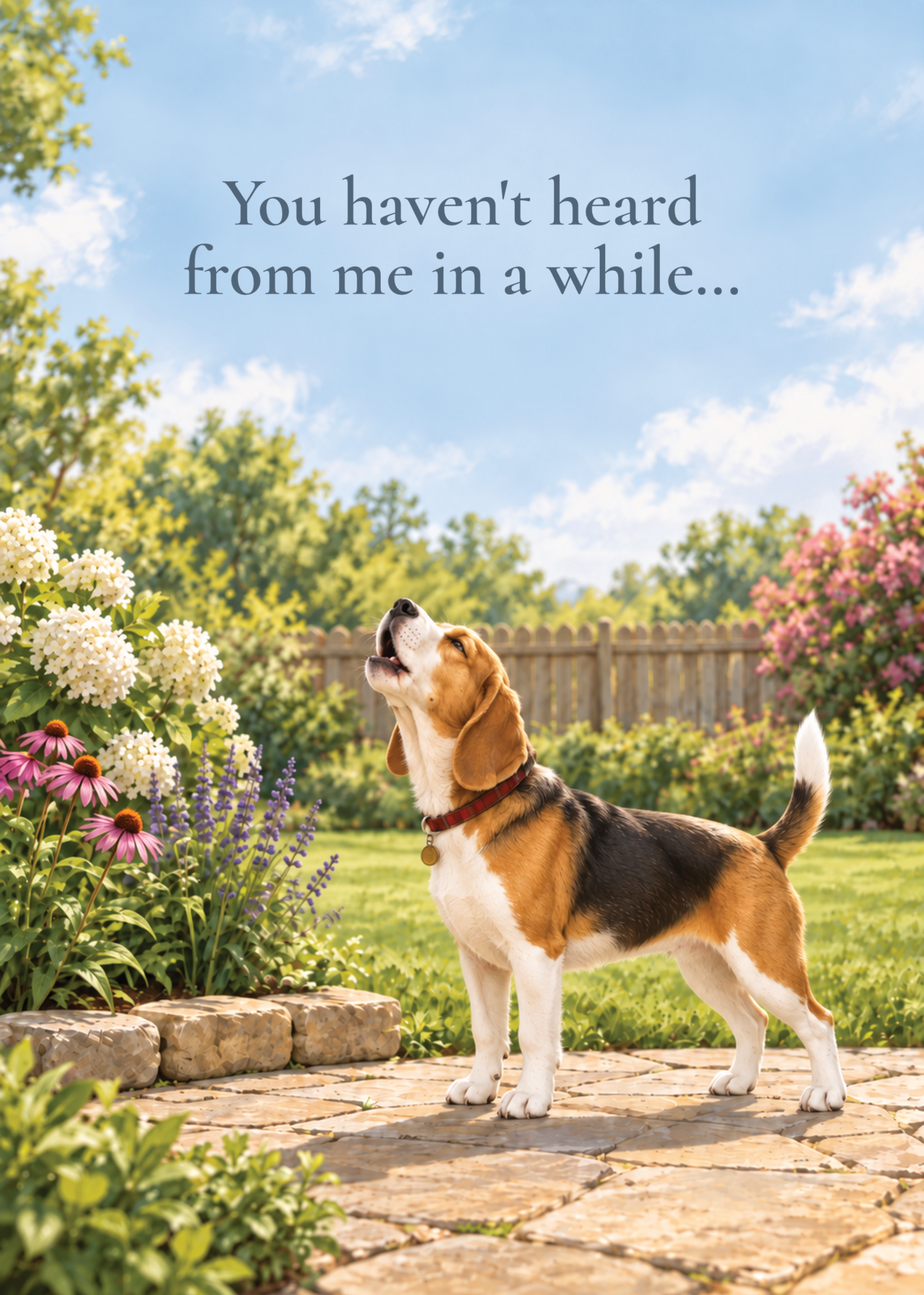 Howling Hello front